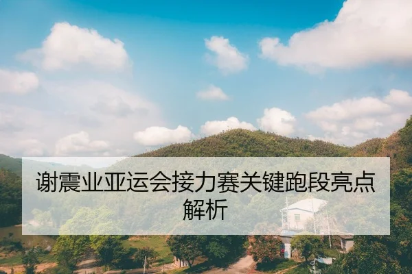 谢震业亚运会接力赛关键跑段亮点解析
